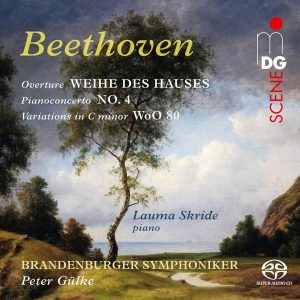 Read more about the article Leitfaden für Beethoven